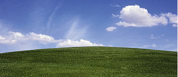 Environment