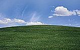 Environment